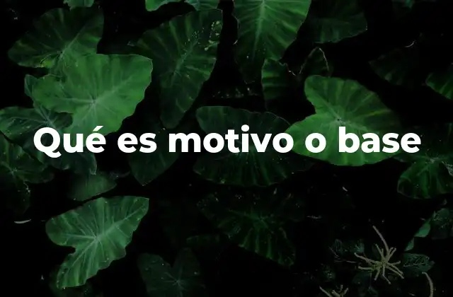 Qué es Motivo o Base