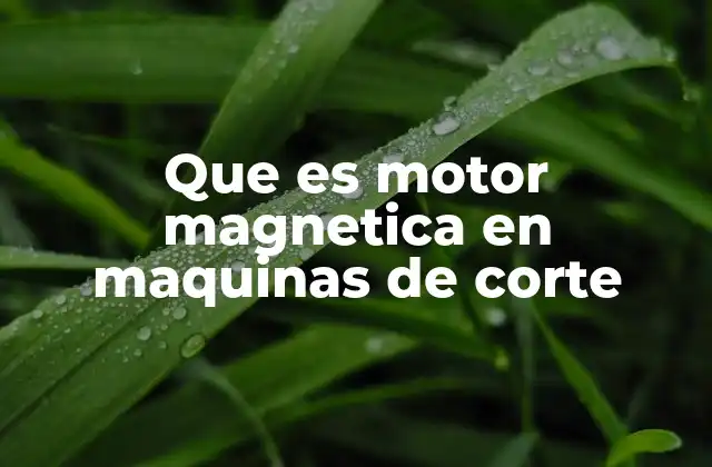 Que es Motor Magnetica en Maquinas de Corte 2 Cómo los motores magnéticos transforman la operación de las máquinas de corte