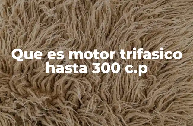 Que es Motor Trifasico hasta 300 C.p 2 Características técnicas de los motores trifásicos de hasta 300 c.p
