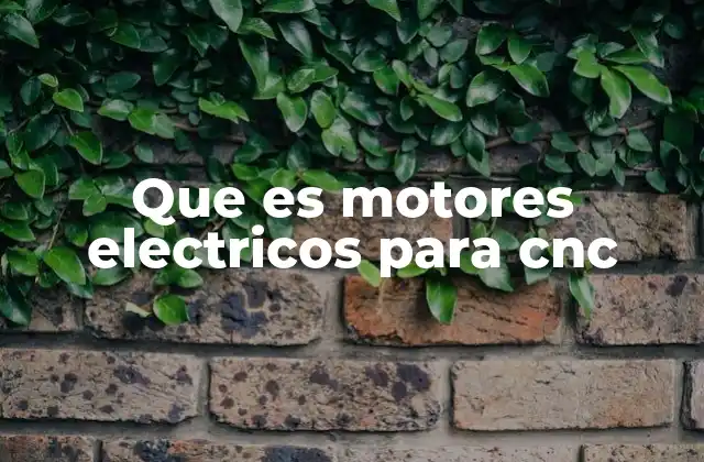 Que es Motores Electricos para Cnc