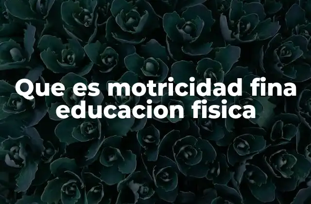 Que es Motricidad Fina Educacion Fisica