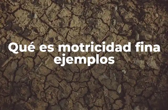 La importancia de la motricidad fina en el desarrollo infantil