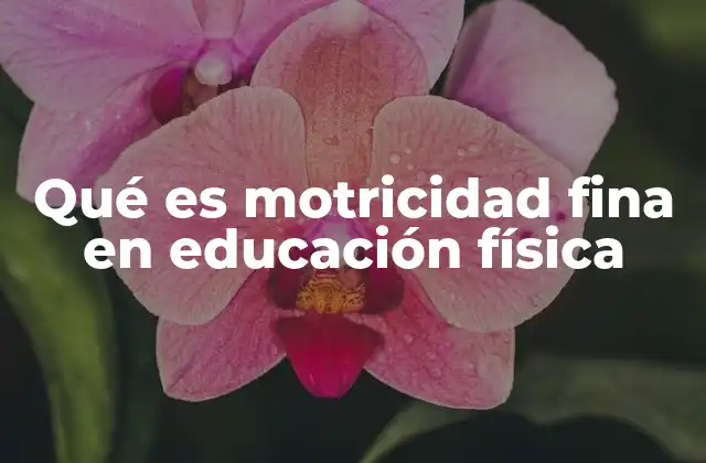 Qué es Motricidad Fina en Educación Física