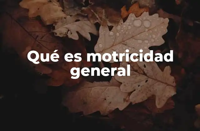 Qué es Motricidad General