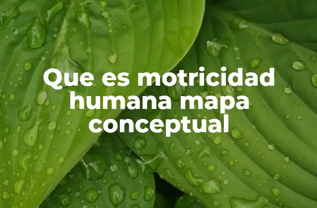 Que es Motricidad Humana Mapa Conceptual