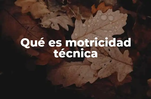 Qué es Motricidad Técnica