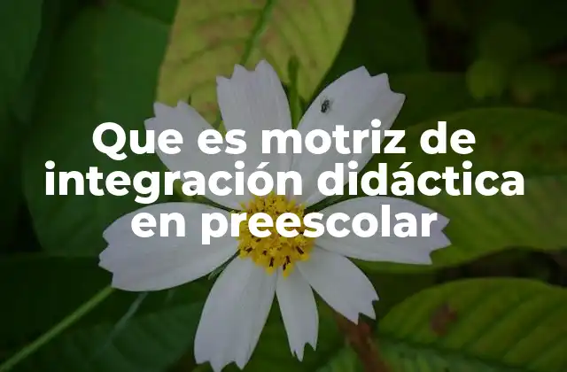 Que es Motriz de Integración Didáctica en Preescolar