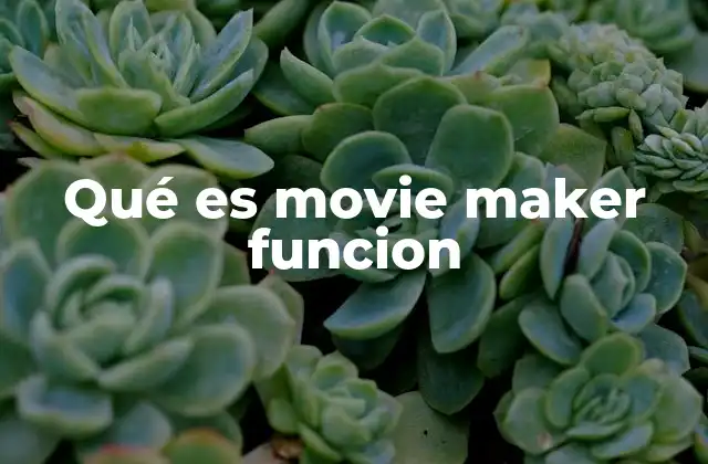 Qué es Movie Maker Funcion