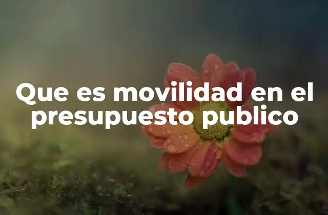 Que es Movilidad en el Presupuesto Publico