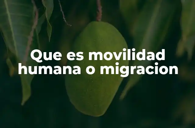 Que es Movilidad Humana o Migracion