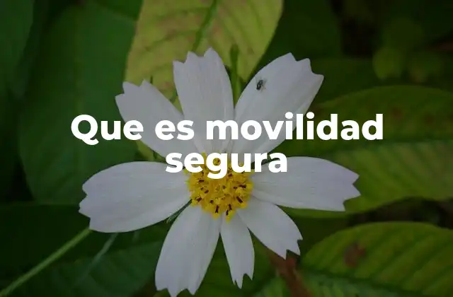 Cómo se construye un entorno favorable para la movilidad segura