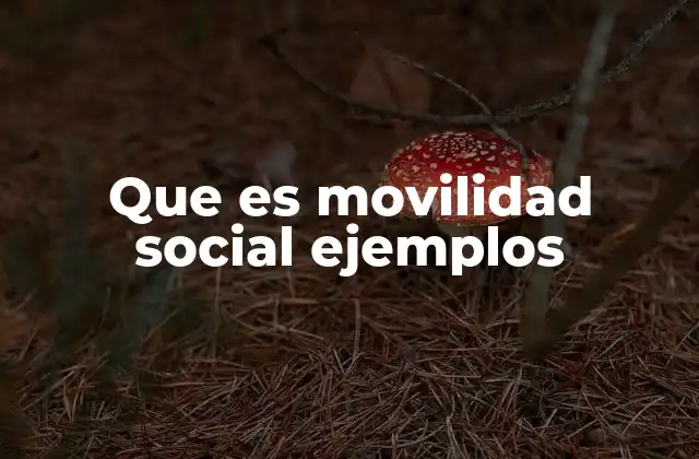 Que es Movilidad Social Ejemplos
