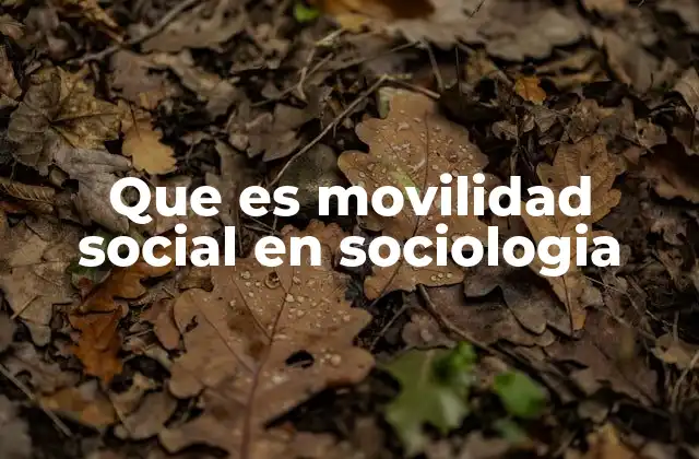Que es Movilidad Social en Sociologia