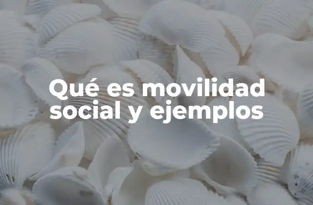 Cómo se manifiesta la movilidad social en la vida cotidiana