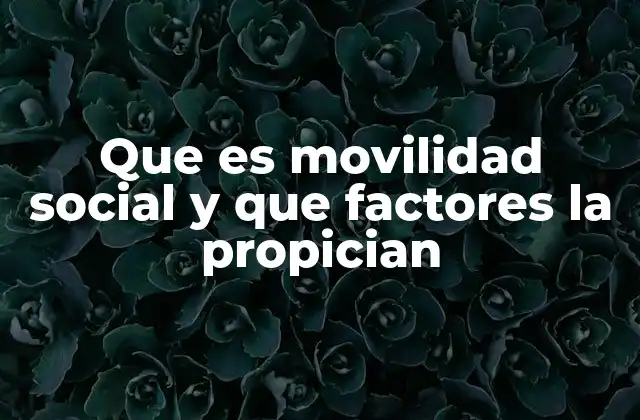 Que es Movilidad Social y que Factores la Propician