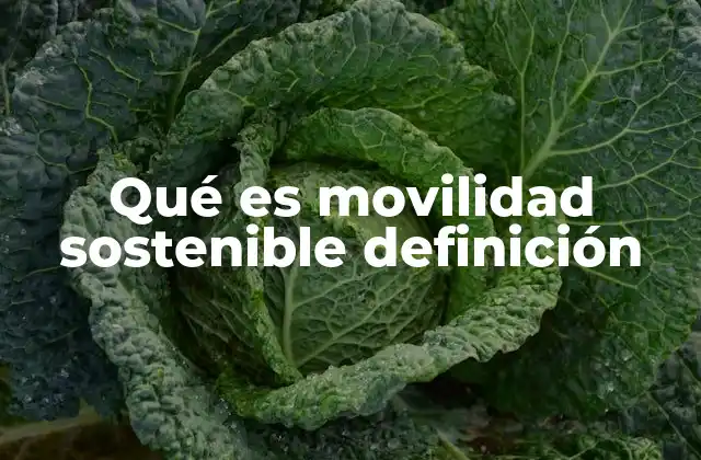 Qué es Movilidad Sostenible Definición