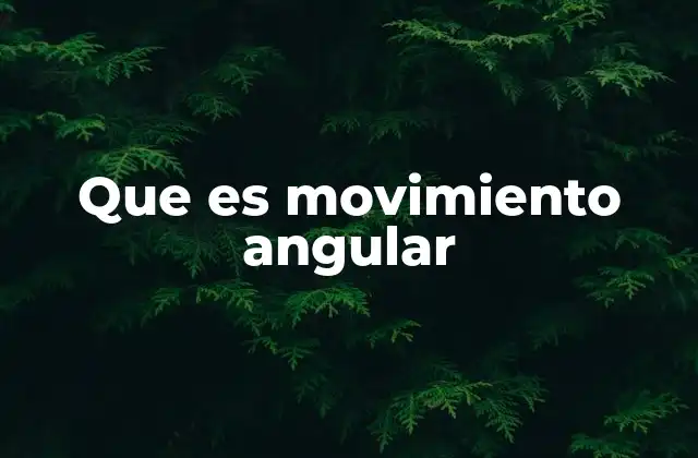 Que es Movimiento Angular