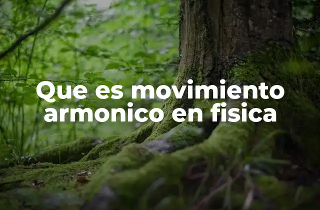 Que es Movimiento Armonico en Fisica