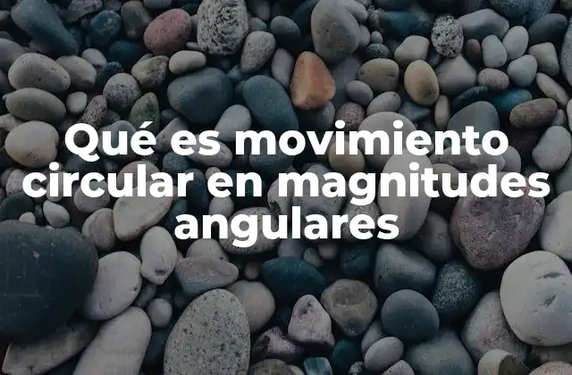 Qué es Movimiento Circular en Magnitudes Angulares