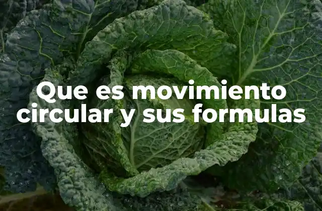 Que es Movimiento Circular y Sus Formulas
