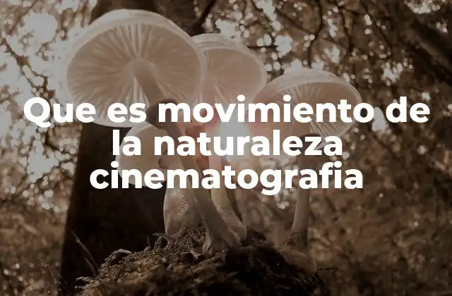 Que es Movimiento de la Naturaleza Cinematografia