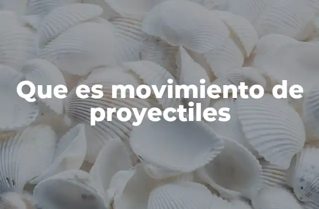 Que es Movimiento de Proyectiles
