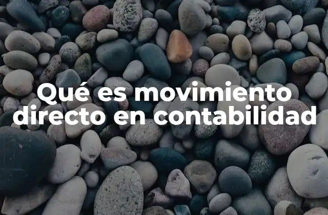 Qué es Movimiento Directo en Contabilidad