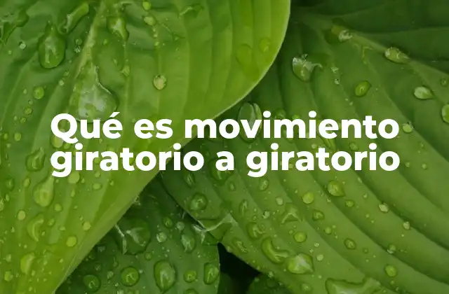 Qué es Movimiento Giratorio a Giratorio