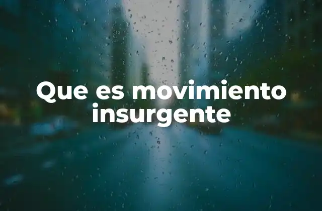 Que es Movimiento Insurgente 2 El papel del apoyo popular en los movimientos insurgentes