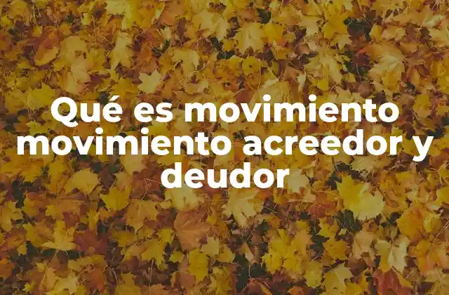 Qué es Movimiento Movimiento Acreedor y Deudor