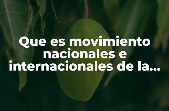Que es Movimiento Nacionales e Internacionales de la Poblacion