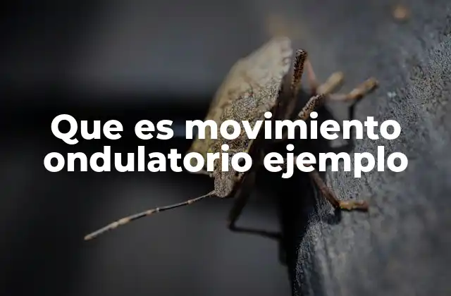 Que es Movimiento Ondulatorio Ejemplo