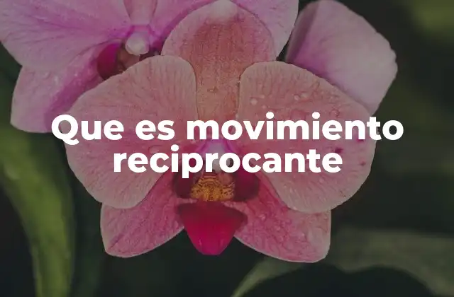 Que es Movimiento Reciprocante