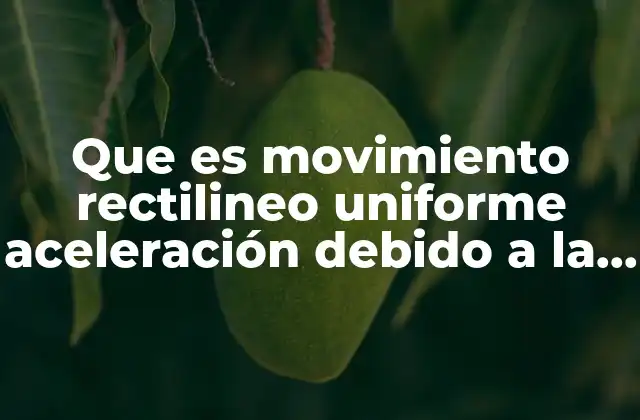 Que es Movimiento Rectilineo Uniforme Aceleración Debido a la Gravedad