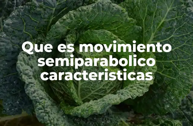 Que es Movimiento Semiparabolico Caracteristicas
