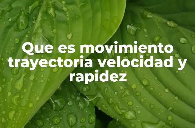 Que es Movimiento Trayectoria Velocidad y Rapidez