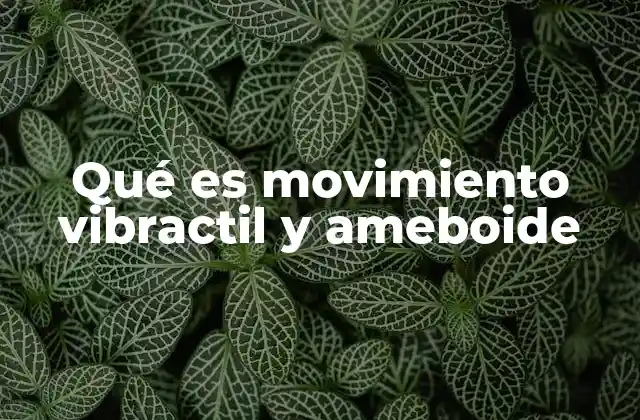 Qué es Movimiento Vibractil y Ameboide