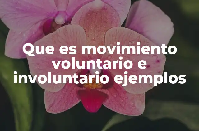 Que es Movimiento Voluntario e Involuntario Ejemplos 2 El control del cuerpo humano: más allá de la conciencia