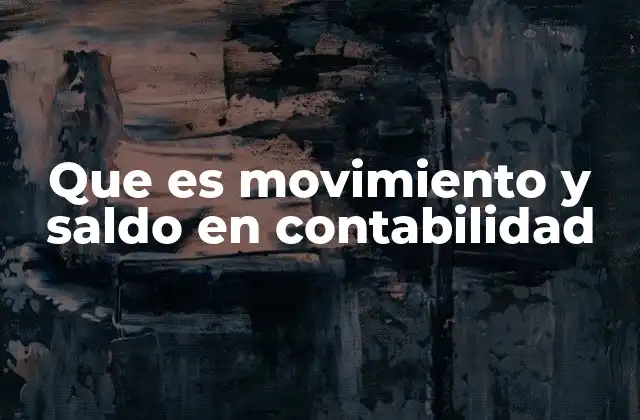 Que es Movimiento y Saldo en Contabilidad