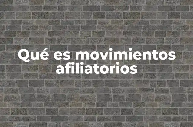 La formación y dinámica de los movimientos afiliatorios