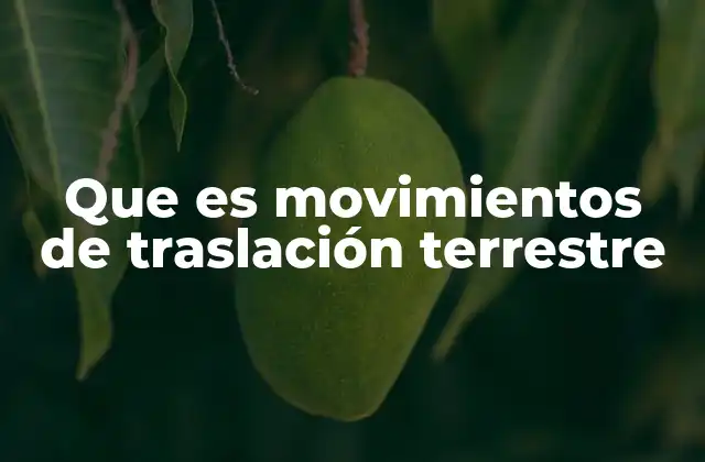 Que es Movimientos de Traslación Terrestre