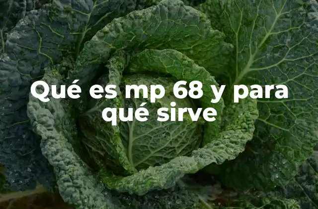 Qué es Mp 68 y para Qué Sirve