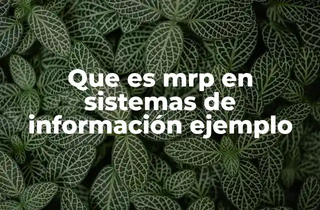 Que es Mrp en Sistemas de Información Ejemplo