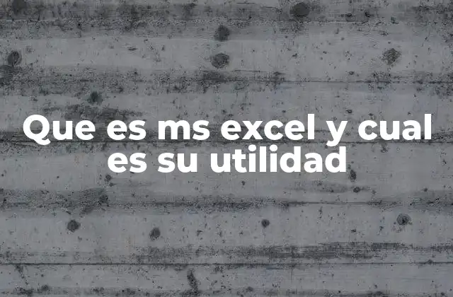 Que es Ms Excel y Cual es Su Utilidad
