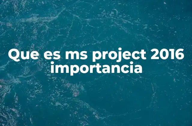 Que es Ms Project 2016 Importancia