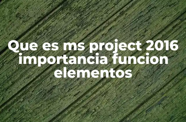 Que es Ms Project 2016 Importancia Funcion Elementos