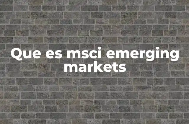Que es Msci Emerging Markets 2 El papel de los índices en la inversión global