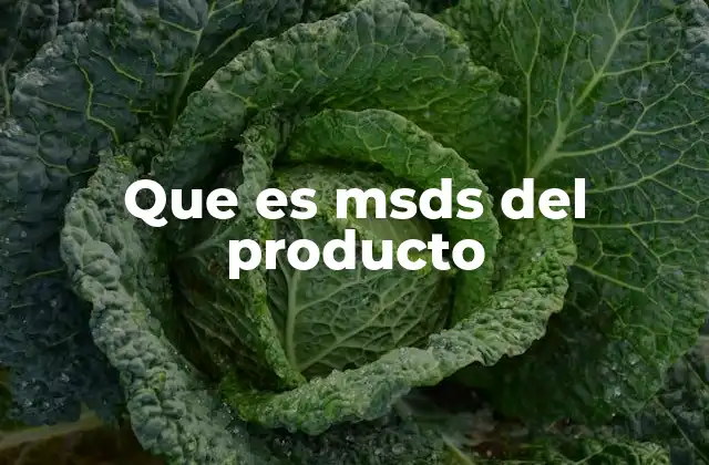 Que es Msds Del Producto