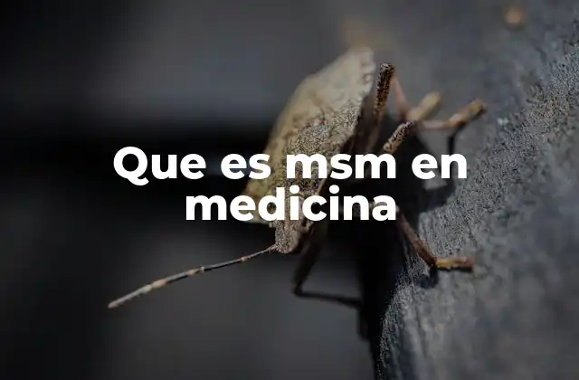 Que es Msm en Medicina
