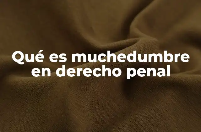 Qué es Muchedumbre en Derecho Penal